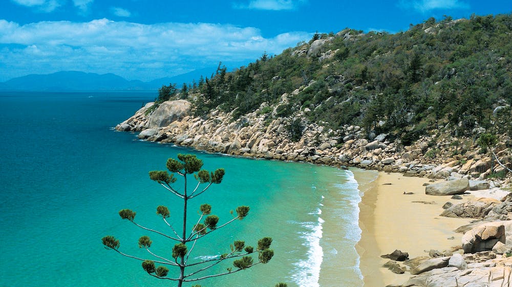 magnetic island beach